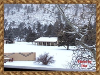 The view from Dot's window