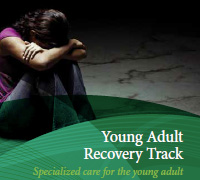 Rehab for young adults, Young Adult Addiction Treatment Brochure